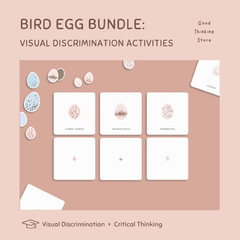 Preview of Bird Egg Magnifying BUNDLE: Visual Discrimination Activities for Preschool