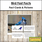 Bird Fast Facts - Montessori Zoology Cards & Pictures