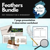 Bird Feather Presentation and Observation