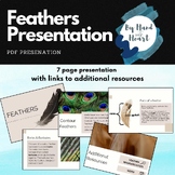 Bird Feathers- Science Presentation