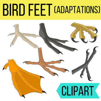 bird footprints clip art