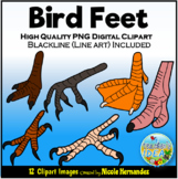 Bird Feet (Adaptations) Clipart for Commercial Use