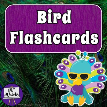 Preview of Bird Flashcards