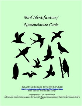 Preview of Bird Identification/ Nomenclature Cards 