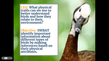 How to identify birds by their habitats