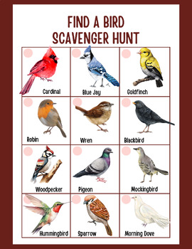 Preview of Bird Identification Scavenger Hunt | Birding Guide for Kids | Digital Download