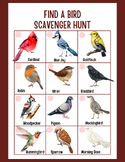 Bird Identification Scavenger Hunt | Birding Guide for Kid