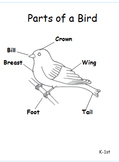 Bird Journal K-1st (aligned with Common Core Standards)