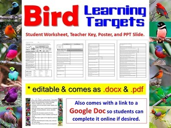 Preview of Bird Learning Targets & Review Questions - comes as .docx, .pdf, & Google Doc