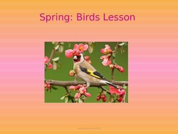 Preview of Bird Lesson-SPRING