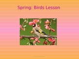 Bird Lesson-SPRING