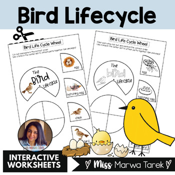 Preview of Bird Life Cycle Wheel  {Activity} - Ms Marwa Tarek