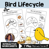 Bird Life Cycle Wheel  {Activity} - Ms Marwa Tarek