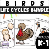 Bird Life Cycle Bundle - Bat, Chicken, Goose, Penguin, Puf