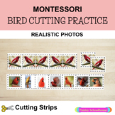 Bird Montessori Cutting Strips, Cutting Practice, Scissor 