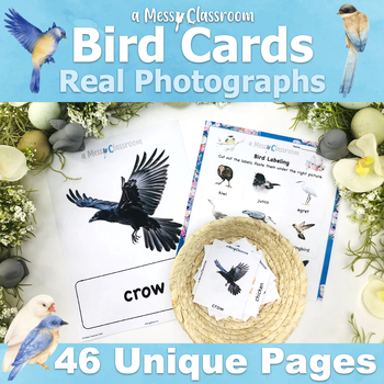 Preview of Preschool Montessori Reggio Bird Name A-Z Vocabulary Card Real Photograph Realia