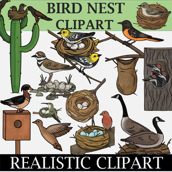 Preview of Bird Nest Clipart