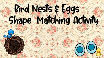 Bird Nest Egg Shape Matching PDF by Page 394 Creations TPT