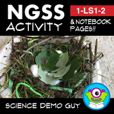 Bird Nest Science Activity & Interactive Notebook Pages NG