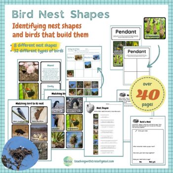 Preview of Bird Nest Types by Shape- sorting, matching, nature journal, STEM challenge