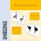 Bird Nomenclature