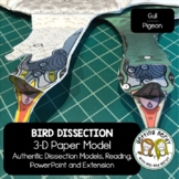 Bird Paper Dissection - Scienstructable 3D Dissection Mode