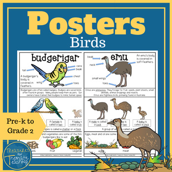 Preview of Bird Posters