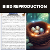 Bird Reproduction | Vertebrates Unit | Birds biology & Orn