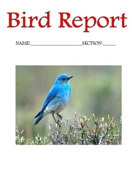 bird research