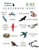 Bird Scavenger Hunt