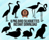 Bird Silhouettes Png - Digital Shorebirds Clip Art, Animal