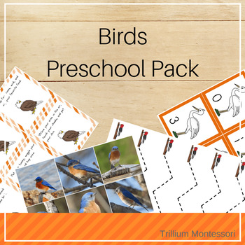 Preview of Bird Theme Preschool and PreK Pack