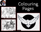 Bird Themed Colouring Pages, Coloring for Big Kids, Abstra