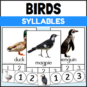 Bird Syllables Teaching Resources | Teachers Pay Teachers