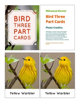 Preview of Montessori Three Part Cards: Toob Birds (Ft. Proper Common Names)