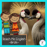 Bird Vocabulary in English - Great For ESL, ELL, and Newcomers