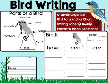 Preview of Bird Writing and Labeling- Informative (Have Can Are) w/ Anchor Charts