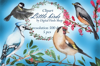 Preview of Bird clipart, watercolor birds clipart, nature clipart goldfinch, blue jay, titm
