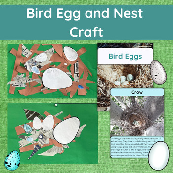 Preview of Bird's Egg and Nest Craft with Informational Text
