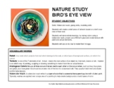 Bird's Nest Art Project - Nature Study based on James Audubon