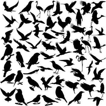 Preview of Bird silhouette digital clipart