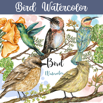 Bird watercolor (Clipart) by Au-art and crafts | TPT