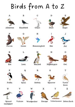 Preview of Birds A-Z Poster