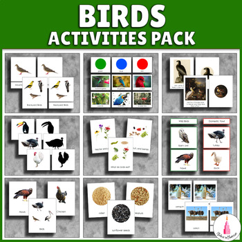Preview of Birds Activities Montessori Bundle