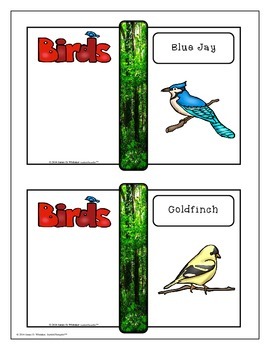 Preview of Birds All About Birds Interactive Research Activities