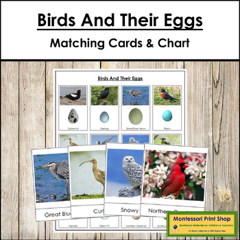Preview of Birds And Their Eggs - Matching Cards