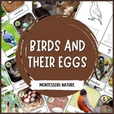 Birds And Their Eggs Montessori Nomenclature Cards