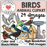 Birds Animal Clipart by Clipart That Cares