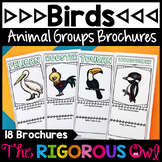 Birds - Animal Groups and Animal Classifications Brochures