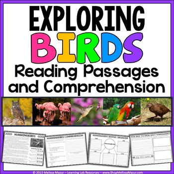 Preview of Birds - Animal Reading Passages and Comprehension Worksheets